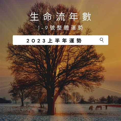 2023流年桃花|V生命靈數／ 2023上半年【整體運勢】分析&生命流年。